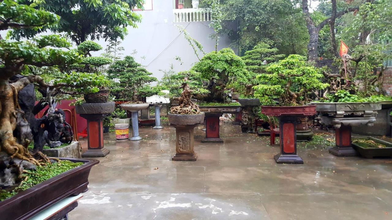 Quang Quang Garden Bonsai Homestay 宁平 外观 照片